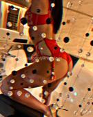 Анкета проститутки Николь - метро Ярославский, возраст - 20